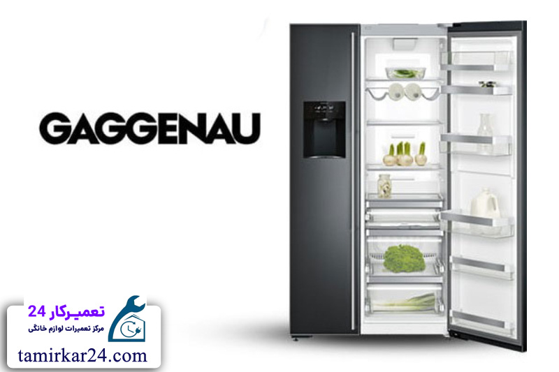 مزایای استفاده از خدمات نمایندگی ساید بای ساید گگنو در تهران 